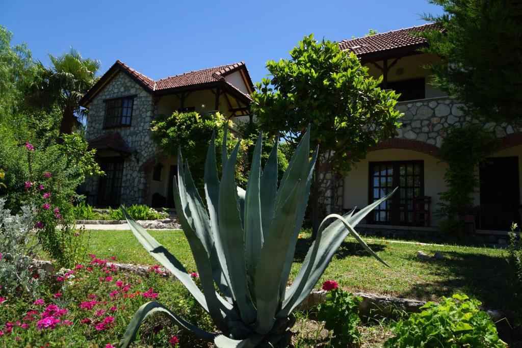 Mountain Lodge Hotel Doger Koyu Екстериор снимка