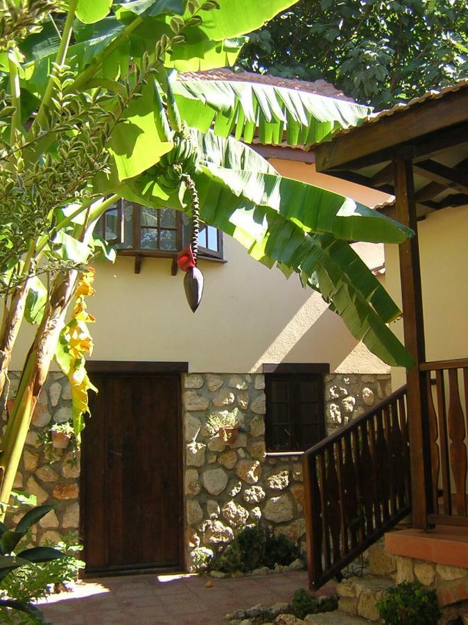 Mountain Lodge Hotel Doger Koyu Екстериор снимка